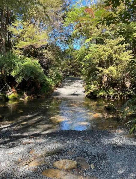 Coromandel Secluded Log Cabin Retreat Hikuai Bagian luar foto