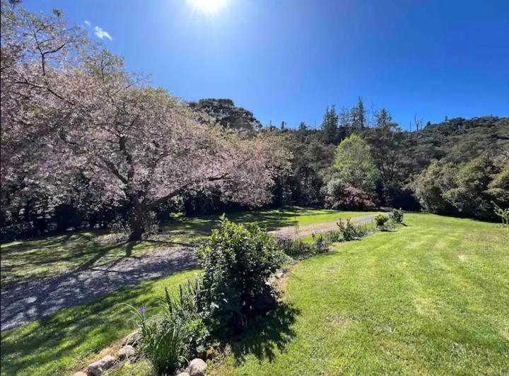 Coromandel Secluded Log Cabin Retreat Hikuai Bagian luar foto